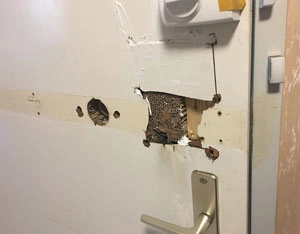Tür Aufgebrochen in Hannover - Einbruchschaden